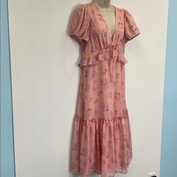 LoveShackFactory X Target - Fleur Chiffon Pink Floral Lined Maxi Dress Size 8 - Picture 3 of 12